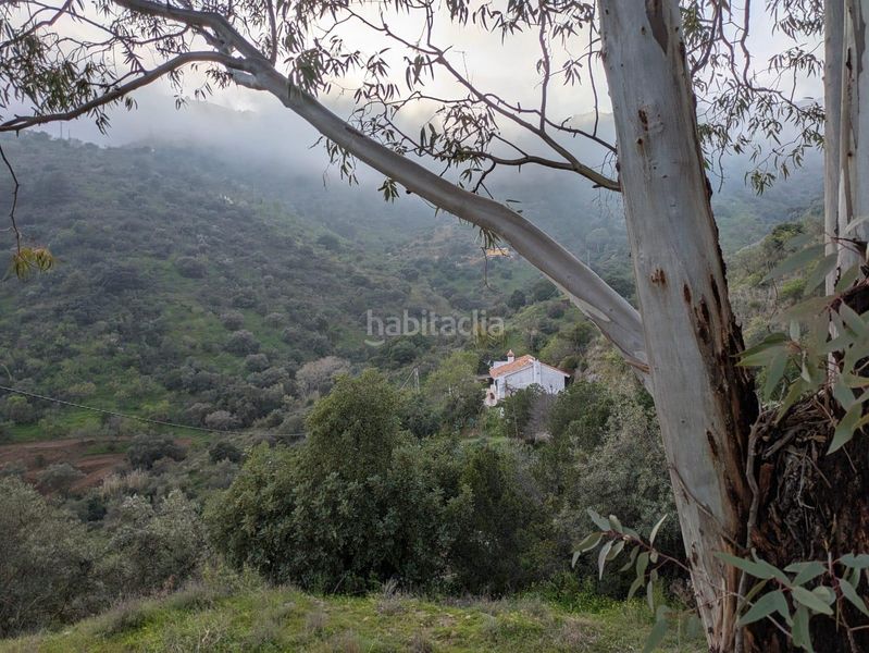 Foto b38ecf64-a413-44d5-a863-302f3dc4a887. Masia amb aparcament a alegría de la huerta- jardín de Málaga Málaga