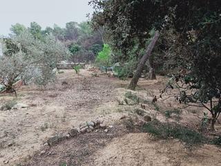 Terreno residencial  Pep ventura