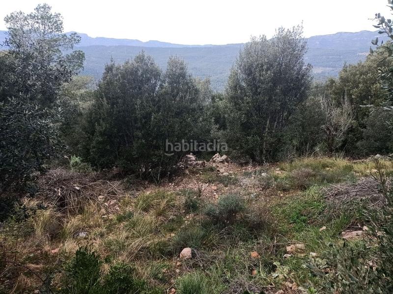 Foto 1e1fd17b-1efc-4fc8-ab17-512cd7a71be0. Wohngrundstück in de l'espigol 12 in Caldes de Montbui