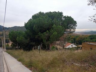Terreny residencial  Carrer salvia. Parcela esquinera en zona les roquetes