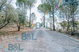 Bauernhof en Valverde del Camino. Finca rst. en venta en valverde del camino, 5 dormitorios.