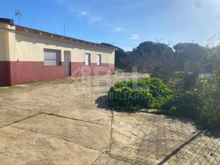 Masia en Punta Umbra. Finca rst. en venta en el rincn, 3 dormitorios.
