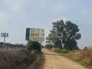 Bauernhof en Rociana del Condado. Finca rst. en venta en rociana del condado.