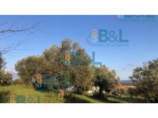 Casa a Rosal de la Frontera. Mansión venta rosal de la frontera