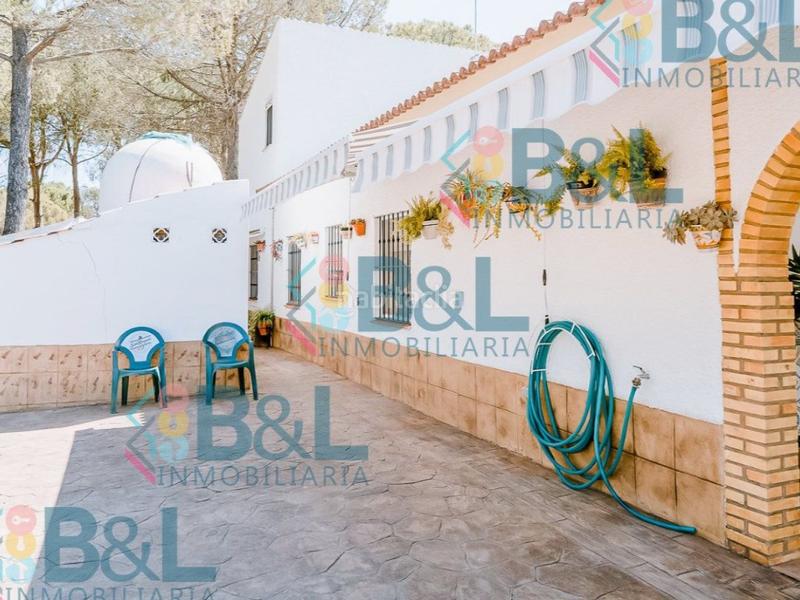 Foto 37a21c11-58a3-43a9-9598-e9e96b32f845. Casa  chalet finca con piscina en paraje las gamonosas . en Valverde del Camino