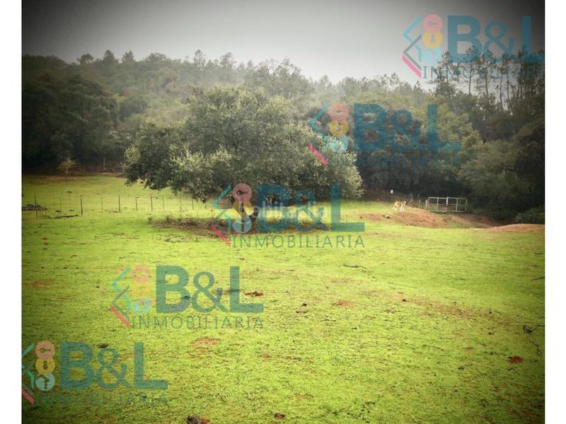 Foto 098724ee-7033-4f8c-9c0f-a0a25937db54. Wohngrundstück in Jabugo