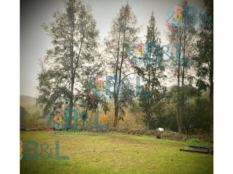 Foto 6a5667af-4f62-4fdc-9415-ec14cd9a7080. Wohngrundstück in Jabugo