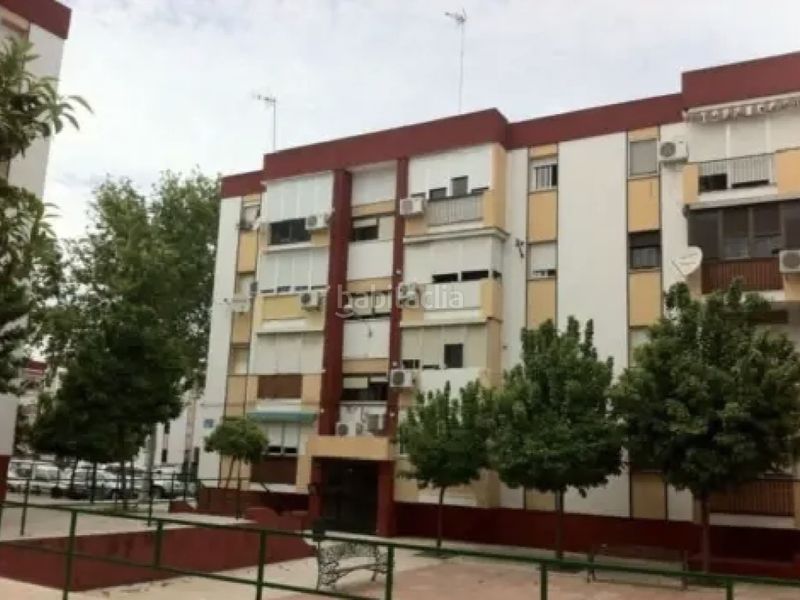 Foto a1649d03-cbc9-4e86-b7c3-230c1a0fcaf3. Pis a El Carmen - Cardeñas Huelva