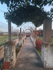 Rural plot in Patrocinio-Nueva Talavera. Parcela rustica de 792m2 a tan solo 1 km de talavera