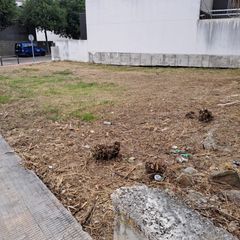 Terreno residenziale in Hospital-Nuevo Centro. Terreno urbano de 256m2 en zona moreras