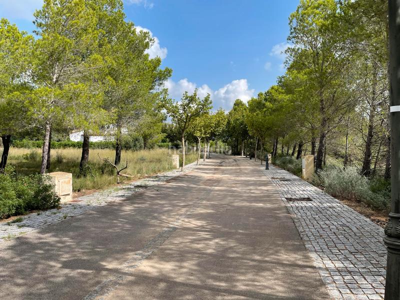 Foto 8761a777-295f-4bdc-bde3-85e8b5ee339a. Terreny residencial a Bonmont Terres Noves Mont-roig del Camp