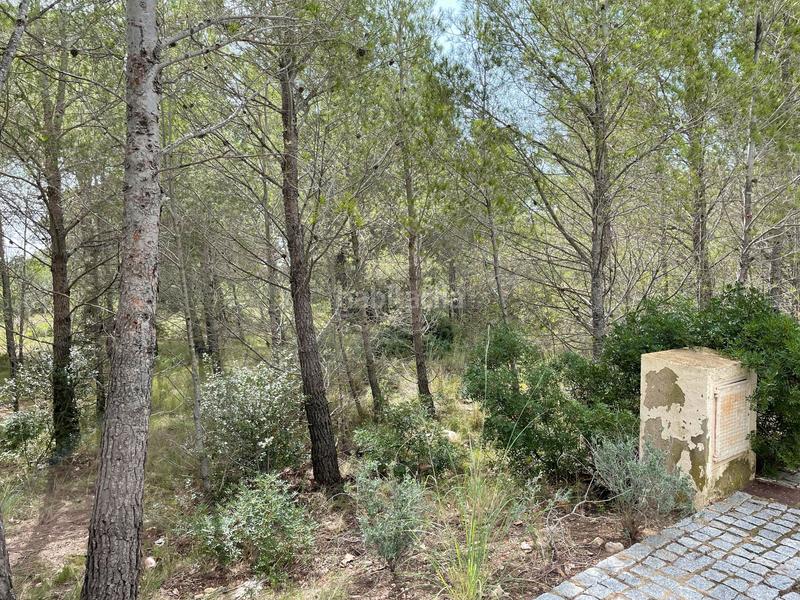 Foto 7e2b5376-a51f-4cfe-8fff-92ba7b352cab. Terreno residenziale in Bonmont Terres Noves Mont-roig del Camp