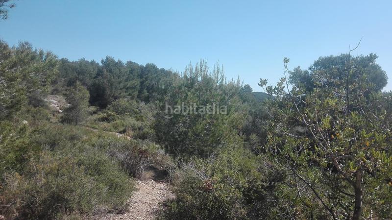 Foto 8e1b7825-48d7-4489-a0e6-73b4c5c6fef1. Terreny residencial a Urbanitzacions de Llevant Tarragona