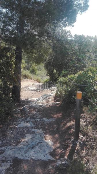 Foto aa6c70c4-8ac2-4e30-ae24-05be6289d310. Terreny residencial a Urbanitzacions de Llevant Tarragona