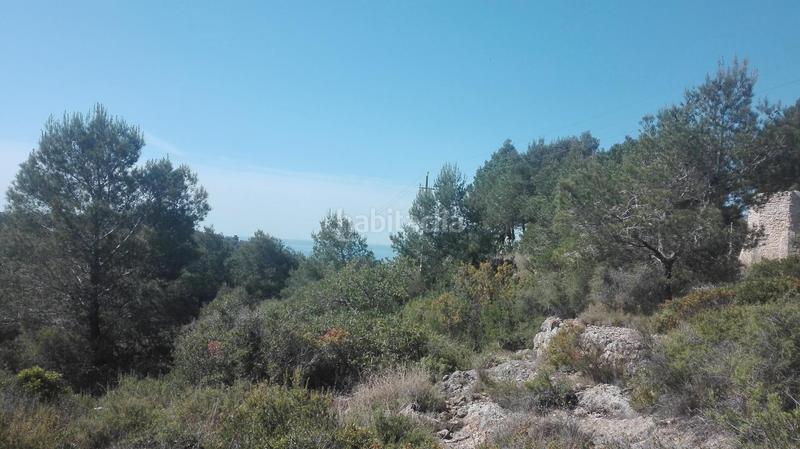 Foto ed5c0295-1765-49bc-ba14-0c9a5c20e76b. Terreny residencial a Urbanitzacions de Llevant Tarragona