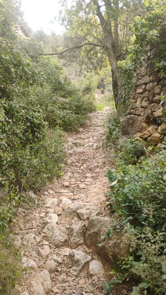 Foto 76b64018-b37a-4e32-951d-53107506785b. Terreno residenziale in prenafeta 46b in Montblanc