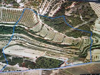 Terreno residenziale  Poligono 25