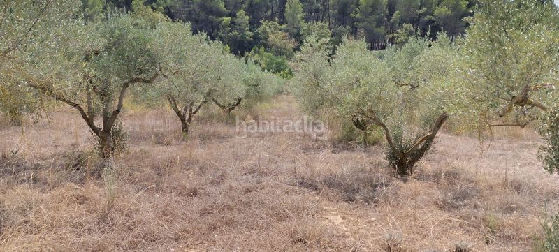 Foto 4868c235-aef9-441b-8568-c94a13f24707. Residential plot in Vilalba dels Arcs