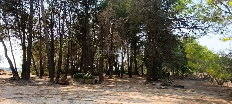 Foto 53adb33d-c523-4d57-b6c5-111b152bf232. Residential plot in Vilalba dels Arcs