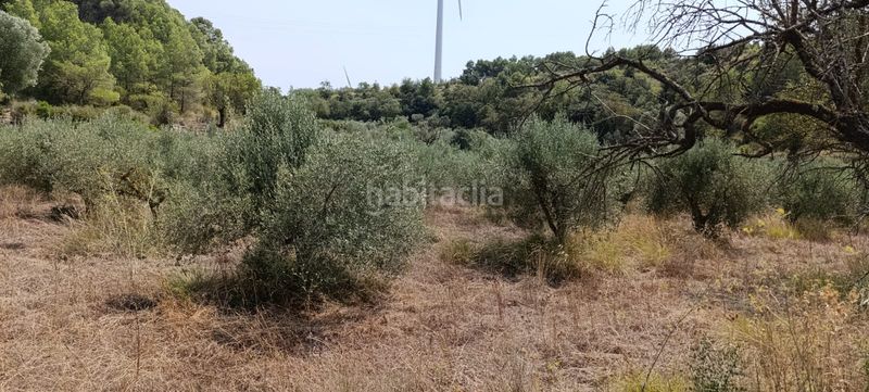 Foto 937ee1dd-be2d-43cb-a4fc-e7cfca80dabf. Residential plot in Vilalba dels Arcs