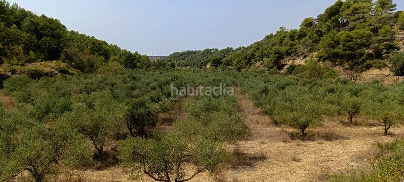 Foto 96404d04-28b5-40a5-8d58-b323a5982f09. Residential plot in Vilalba dels Arcs