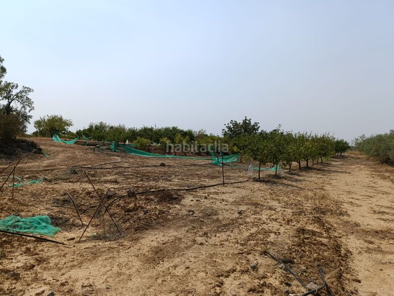 Foto a4f9a4cb-f63a-4ccd-858a-278966e105f5. Residential plot in Vilalba dels Arcs