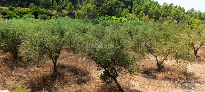 Foto a75d5d37-2473-487c-96e3-382c715e306e. Residential plot in Vilalba dels Arcs