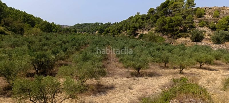 Foto ad42294d-34c2-42d6-b504-6231497f3070. Residential plot in Vilalba dels Arcs