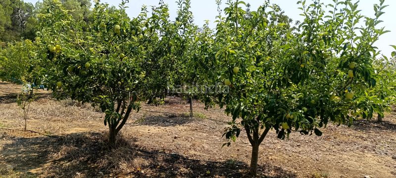 Foto adee553f-d98d-4d81-9636-99b7917937b4. Residential plot in Vilalba dels Arcs