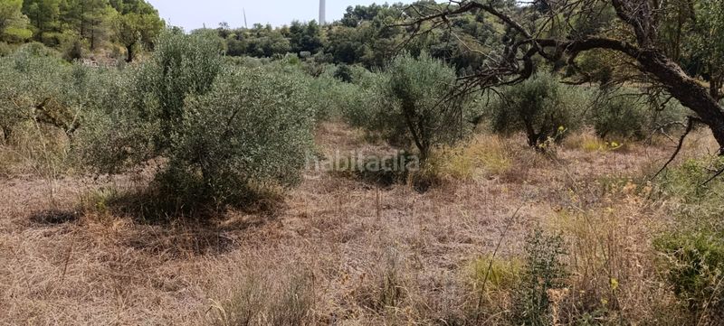 Foto b6d1a763-1157-49bf-a3b4-5aa770a4cd81. Residential plot in Vilalba dels Arcs