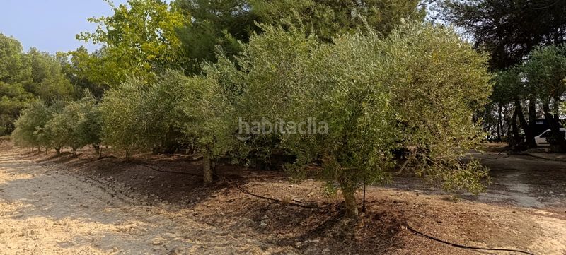 Foto be303071-d609-40ce-825c-f8a093a42928. Residential plot in Vilalba dels Arcs