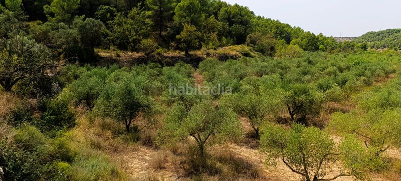 Foto c0566f97-3cc8-4915-ab10-7d9b87c3dd02. Residential plot in Vilalba dels Arcs