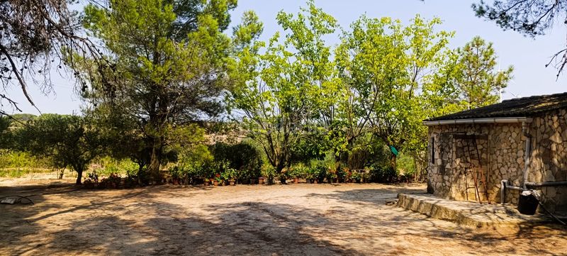 Foto c7d24f18-77ca-4d58-9bc4-d3be72d613ea. Residential plot in Vilalba dels Arcs