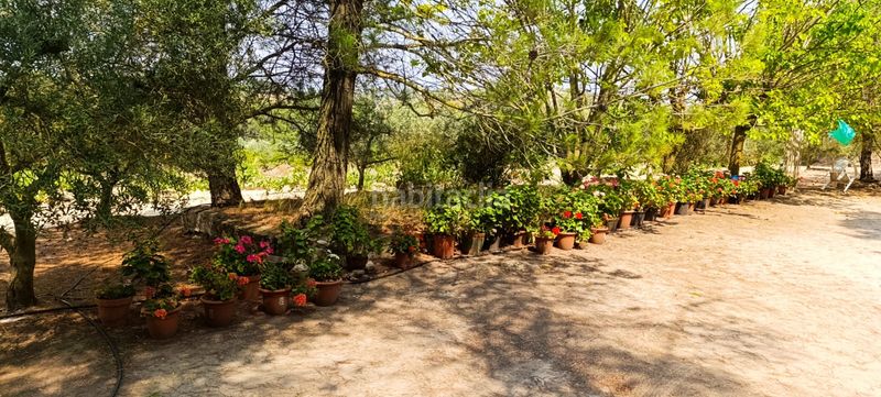 Foto f23047a2-50c0-45af-875e-dd211f094a5e. Residential plot in Vilalba dels Arcs