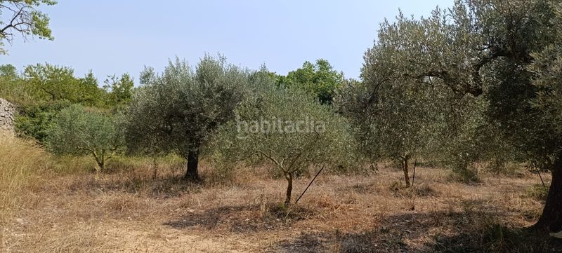 Foto f6ba8bae-f229-4056-b0a7-b8c2e0d2789f. Residential plot in Vilalba dels Arcs