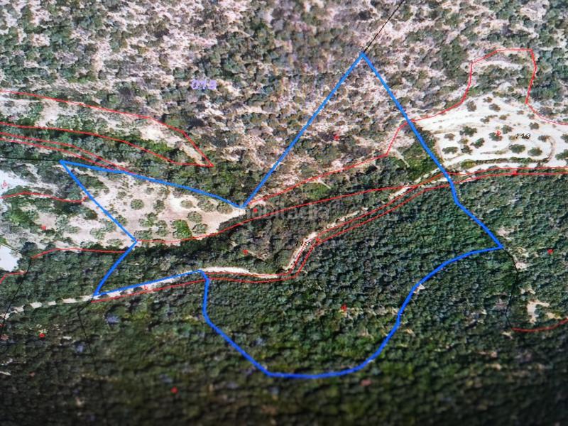 Foto b8a035c2-b6a2-4db8-8fcc-fea0960b9861. Terreny residencial a Ascó