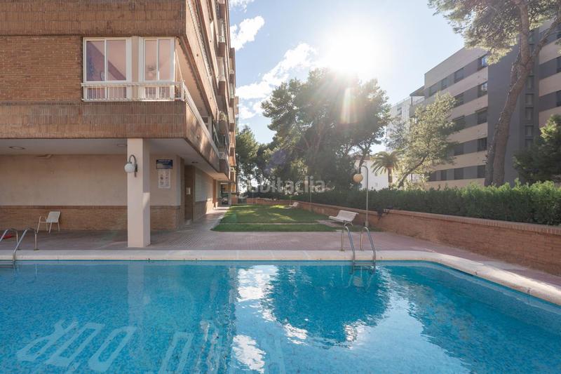 Foto 48367be1-d613-435f-a594-0a71f603a35a. Affitto piccolo appartamento con parcheggio piscina in Benicasim / Benicàssim