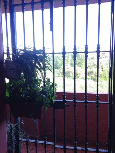 Foto 79f58439-d1d8-4849-a2c9-d0c829ca6ae5. Lloguer apartament amb piscina a San García Algeciras