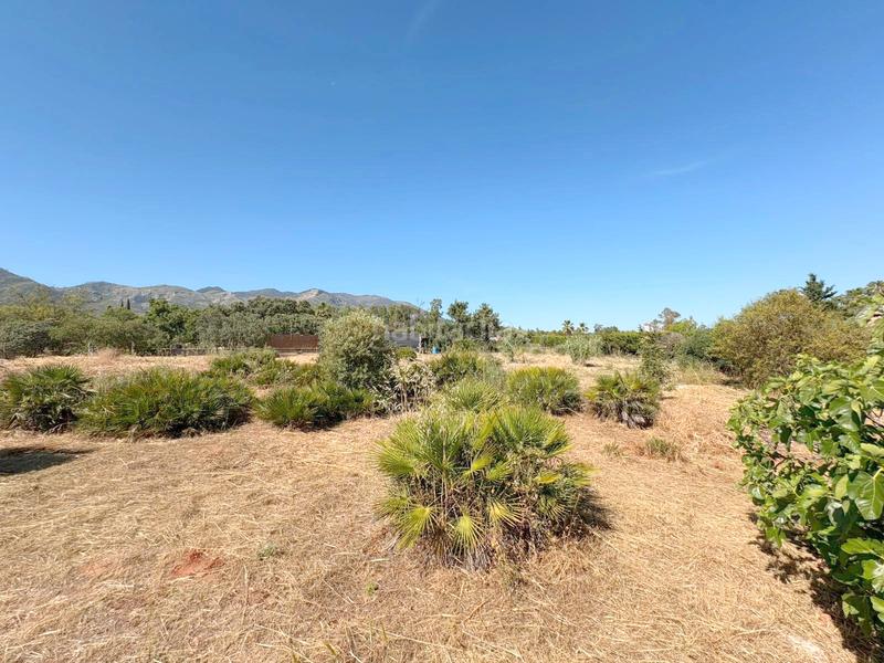 Foto 655d3c28-953e-4241-9dc5-635d66666804. Fondo rustico in Buenavista-Lauro Golf Alhaurín de la Torre