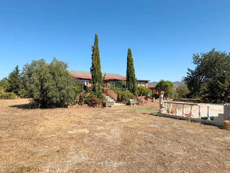 Foto bab1d29d-229a-4b43-8607-d1cab8041cc1. Fondo rustico in Buenavista-Lauro Golf Alhaurín de la Torre