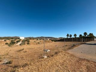 Finca rústica  Camino cuesta del palmar. Se vende parcela rústica de 5.350m2 con excelentes vistas.