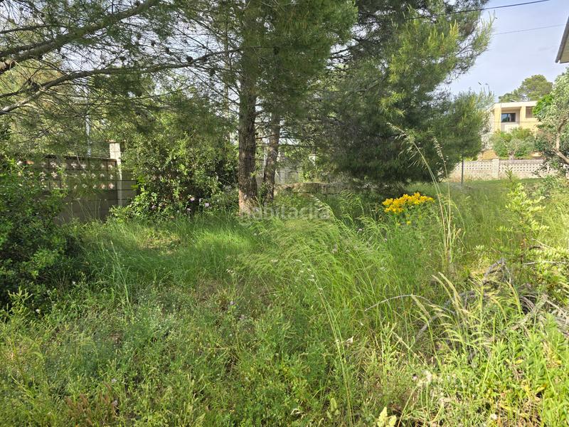 Foto 9b607aaf-c2b9-4a71-a562-6532587254ce. Terreno residenziale in Calders