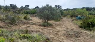 Fondo rustico in Vilajuïga. Se vende rustico de 2,5 hectareas con casita autosostenible cerc