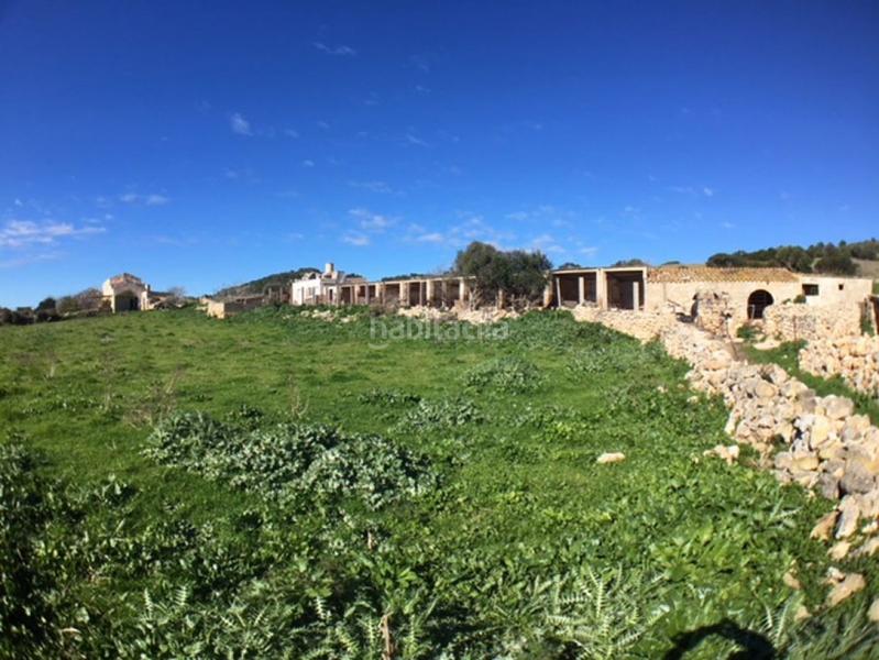 Foto 2c753f05-005d-4914-a01b-b6ed43ef9e53. Casa c7035 casa de campo en son bou en Son Bou-Sant Jaume Alaior