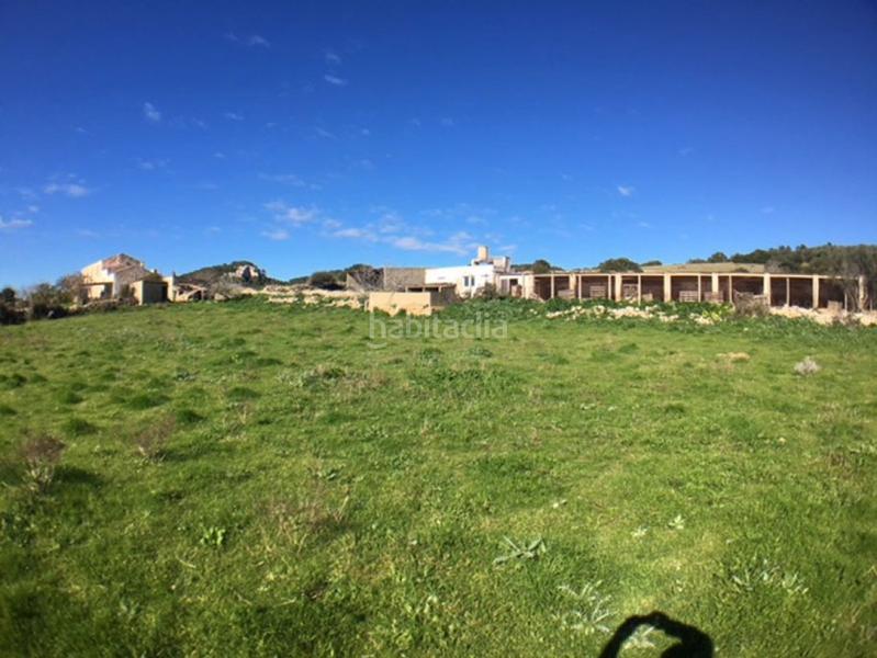 Foto 3cbe92c9-bd9c-4e65-9b83-9f27cd37c74f. Casa c7035 casa de campo en son bou en Son Bou-Sant Jaume Alaior