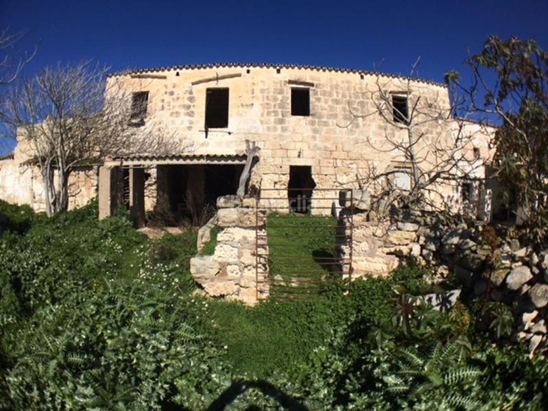 Foto 9ef069ed-f0a3-446c-bf8c-7e03039e091b. Casa c7035 casa de campo en son bou en Son Bou-Sant Jaume Alaior