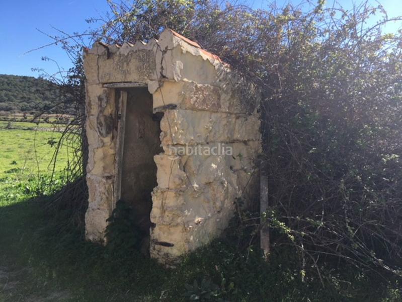 Foto 9f9c4f0d-fe41-43a1-816b-6a891d4b3a67. Casa c7035 casa de campo en son bou en Son Bou-Sant Jaume Alaior