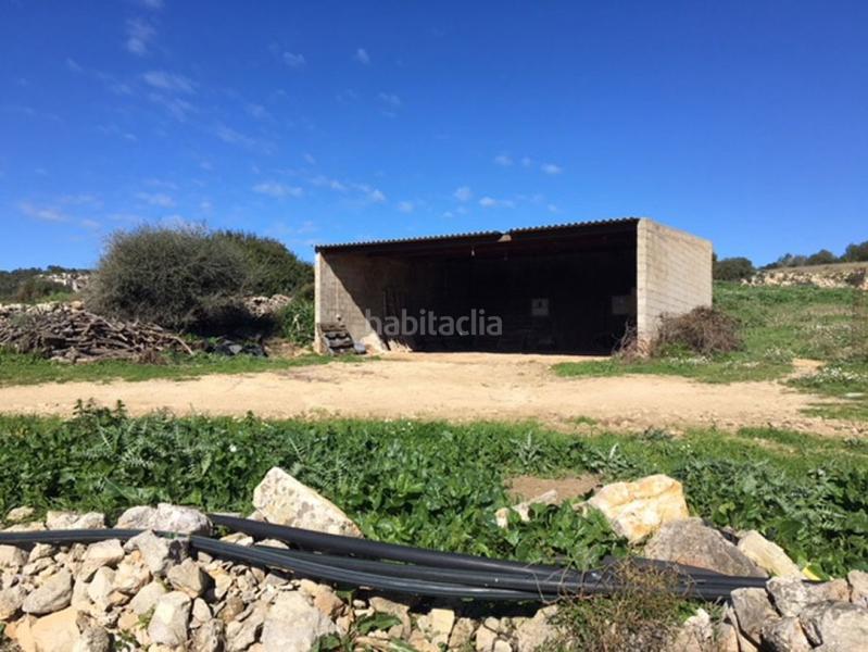 Foto b94cd427-f437-4a73-b84b-c7ec0aae978e. Casa c7035 casa de campo en son bou en Son Bou-Sant Jaume Alaior