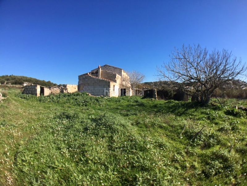 Foto 4405ade4-3084-40f4-a1d6-c9726db26266. Haus in Son Bou-Sant Jaume Alaior