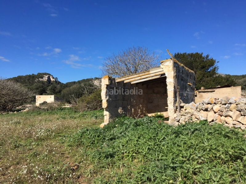 Foto 6e992244-09b4-41d4-a2a4-661f64e30945. Haus in Son Bou-Sant Jaume Alaior